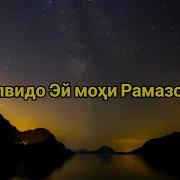 Алвидо Э Мохи Куръон Алвидо