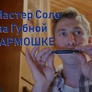 Мастер Соло На Губной Гармошке