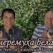 Владислав Чен Ах Черемуха Белая