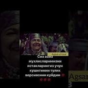 Нилуфар Рахматова Туйда