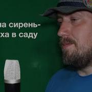 Расцвела Сирень Черемуха Виа Пламя Мнус