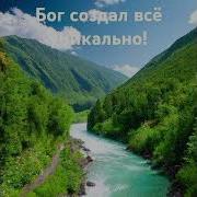 Песня Про Природу В Тикток