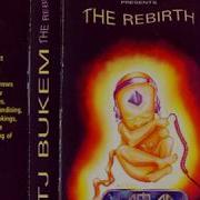 Ltj Bukem Presents The Rebirth 1996 Intelligent Dnb No Mc