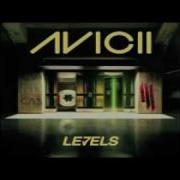 Levels Avicii Skrillex Remix