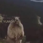 Молчание Самый Громкий Крик Души