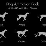 Dog Animation Pack Motion Graphics Videohive Template