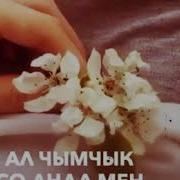 Ата Энелер Үчүн Арналган Видео