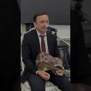 Садулла Бадалов