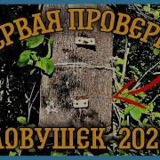 Роение 2022