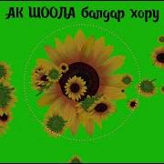 Кун Балдары Семичкелер