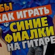 Как Играть Синие Фиалки На Гитаре Табы И Аккорды С Караоке