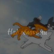 Коты Которых Не Любили Не Кормили Не Ласкали
