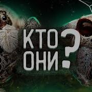 Ужасные Истории Пауки