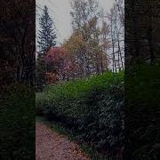 Шла Под Острыми Лучами В Платье Шелковом