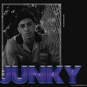 Brockhampton Junky