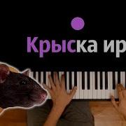 Крыска Ириска Кот Бутерброд Авокадо Бегемот Полная Песня