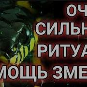 Помощь Змеи Ритуал Для Всех