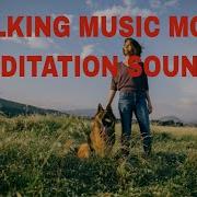 Relax Music Creative Commons 20 Minutes