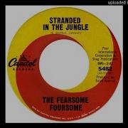The Fearsome Foursome Stranded In The Jungle