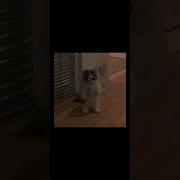 On The Floor Sped Up Remix