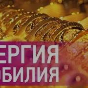 Как Привлечь Удачу Богатство И Изобилие В Свою Жизнь Наталия Правдина Все По Фен Шуй