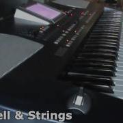 Korg Pa500 Performances Strings Vocal