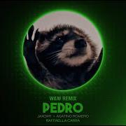 Pedro Remix