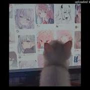 Мы Хуйню Несëм Speed Up