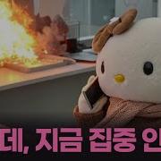 모트모트 팝송플리