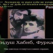 Фуркат Шохалил Ба Хотири Лидуш Хабиб
