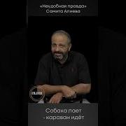 Собака Лает Караван Идёт