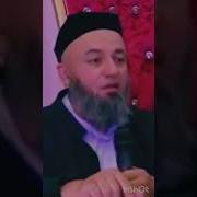 Шукур Килиш Керак Шукур