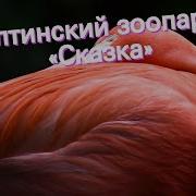 Ялтинский Зоопарк Сказка