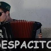 Luis Fonsi Despacito Ft Daddy Yankee Cover Accordion Вторая Версия
