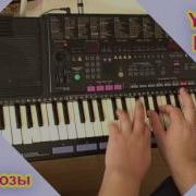 Белые Розы Yamaha Pss 51