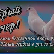 Добрый Вечер Мой Хороший