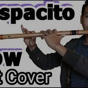 Luis Fonsi Despacito Best Cover Heart Touching Video Flute Version