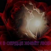 Немало Песен Спето О Любви И Стихов Рассказано
