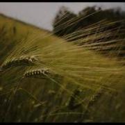 B O N G Small Things Aeron Aether Breaks Remix