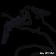 Metallica Sad But True Instrumental Version No Solo