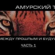 Между Прошлым И Будущим