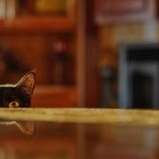 Юрий Никитин Проходящий Сквозь Стены