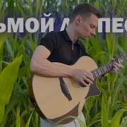 Седьмой Лепесток Кавер На Гитаре