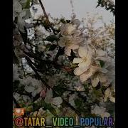 Артур Хасанов Белэсенме