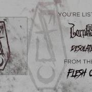 Lorna Shore Desolate Veil