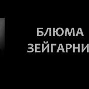 Зейгарник Психиатрия Книги