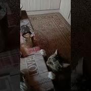А Счастье Было Так Близко