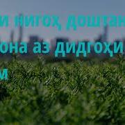 Ҳукми Нигоҳ Доштани Саг Дар Хона Аз Дидгоҳи Ислом Абу Суҳайб