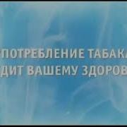 Заставка Употребление Табака Вредит Вашему Здоровью Тнт 2015 2017