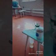 Как Вы Работаете Водителем Вы Же Пит Любите
